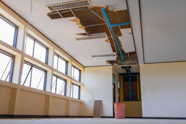 Best Mold removal after water damage  in Antioch, IL