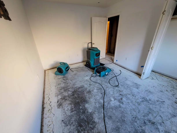 Best Flood damage cleanup  in Antioch, IL