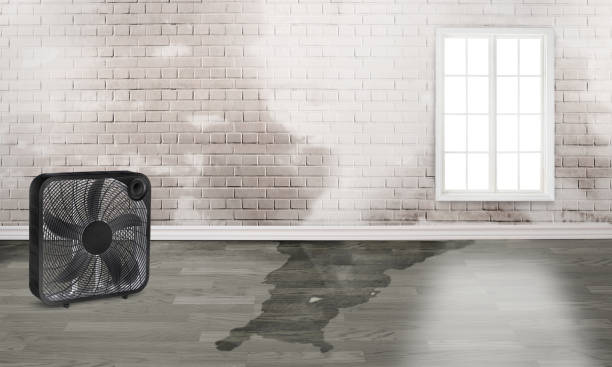Sewage cleanup and water damage restoration in IL