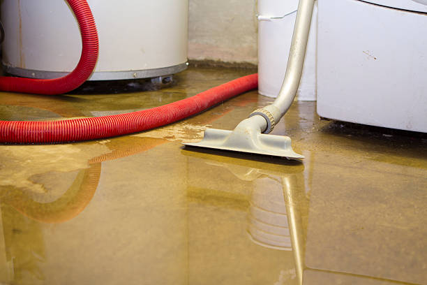 Best Water damage restoration near me  in Antioch, IL