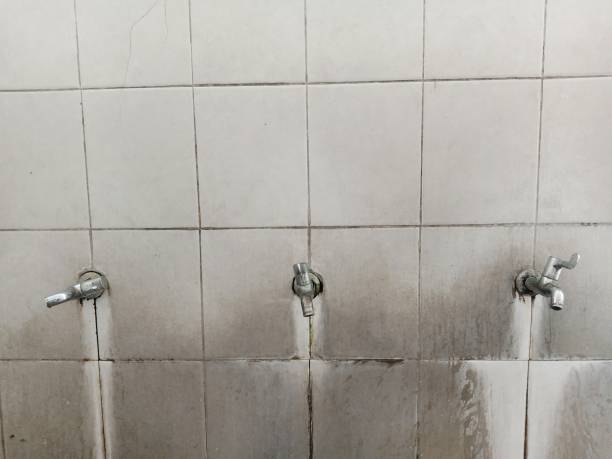 Best Ceiling water damage repair  in Antioch, IL