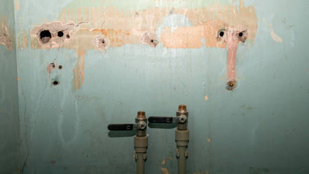 Best Commercial water damage restoration  in Antioch, IL