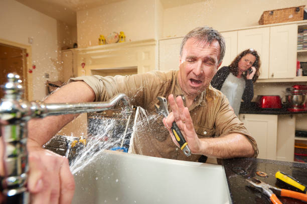 Best Water damage cleanup near me  in Antioch, IL